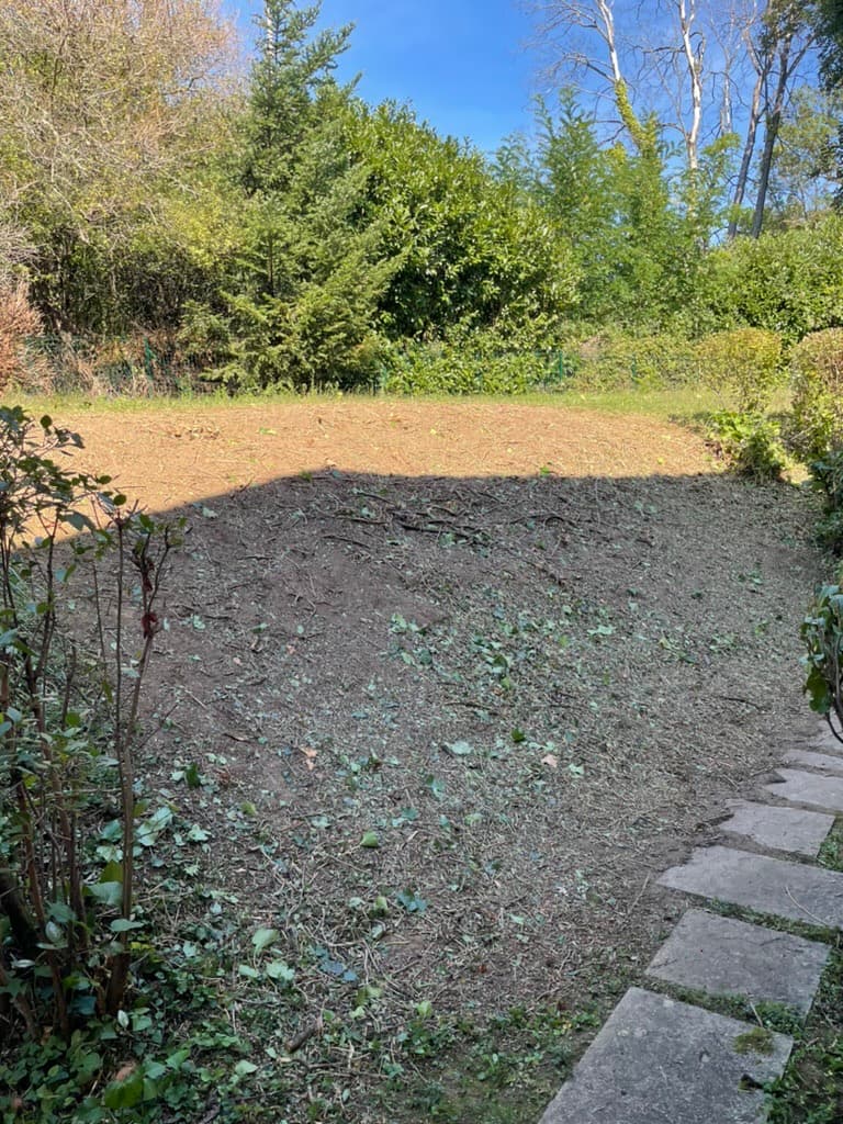 Débroussaillage de jardin — après