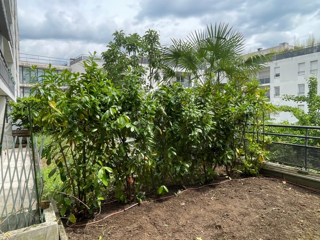 Plantation