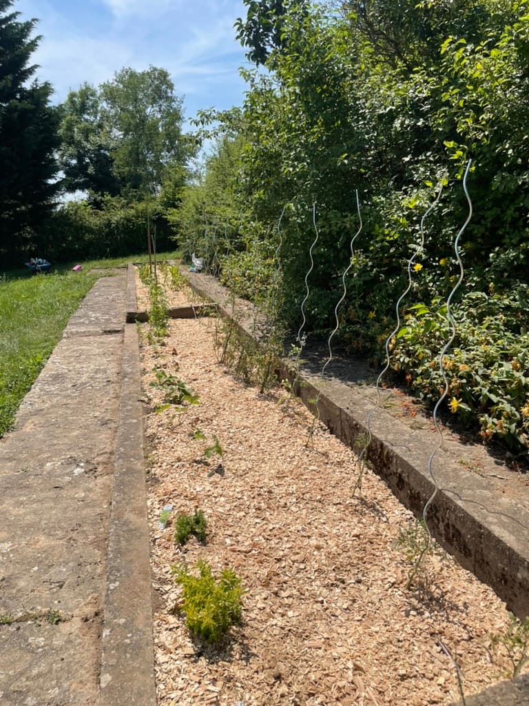 Création d'un potager — après